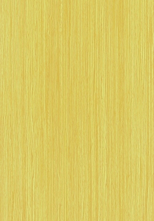 ModernWood Texture