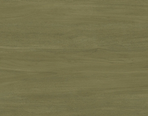 ModernWood Texture