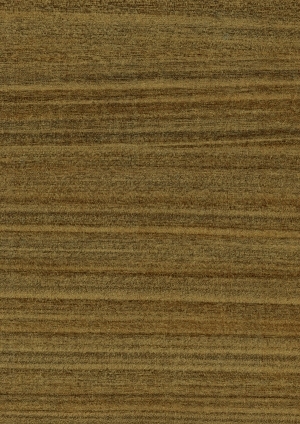ModernWood Texture