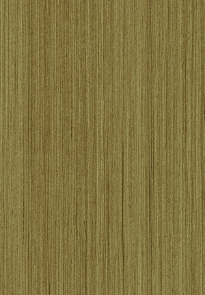 ModernWood Texture