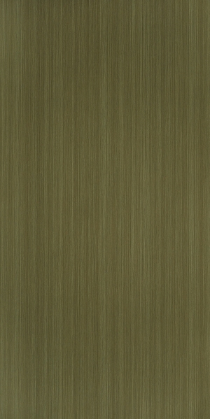 ModernWood Texture