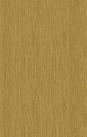 ModernWood Texture
