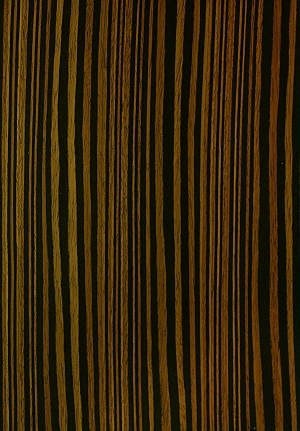 ModernWood Texture