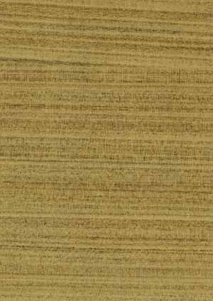 ModernWood Texture