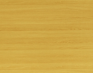 ModernWood Texture