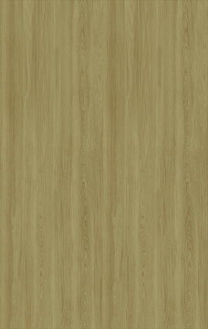 ModernWood Texture
