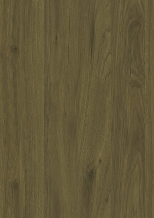 ModernWood Texture