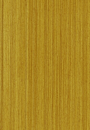 ModernWood Texture