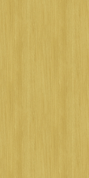 ModernWood Texture