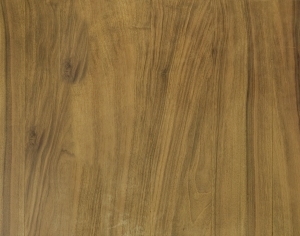 ModernWood Texture
