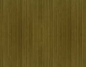 ModernWood Texture