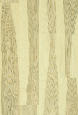 ModernWood Texture