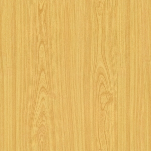 ModernWood Texture