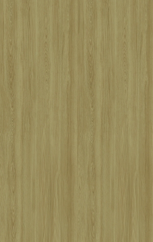 ModernWood Texture
