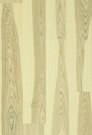 ModernWood Texture