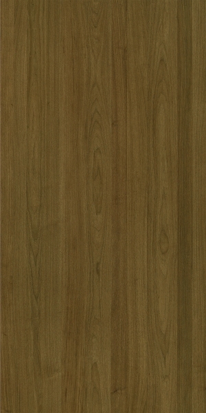 ModernWood Texture