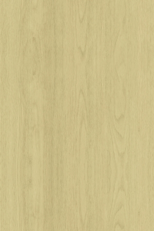 ModernWood Texture