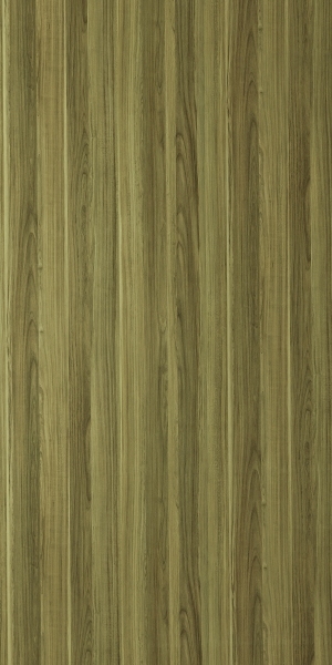 ModernWood Texture