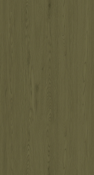 ModernWood Texture