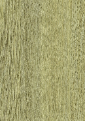 ModernWood Texture