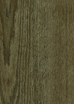 ModernWood Texture