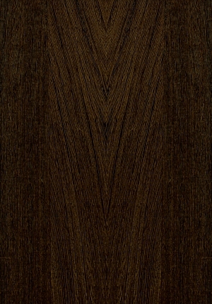 ModernWood Texture
