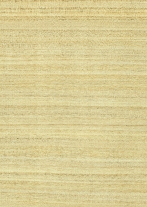 ModernWood Texture