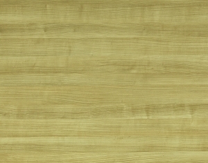 ModernWood Texture