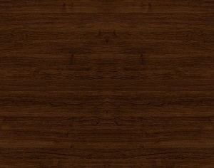 ModernWood Texture