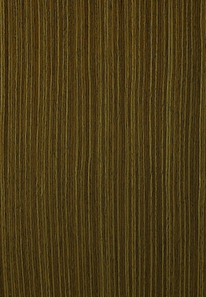 ModernWood Texture