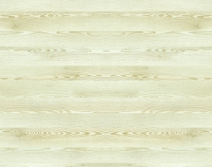 ModernWood Texture