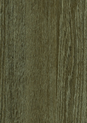 ModernWood Texture