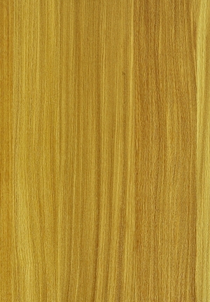ModernWood Texture