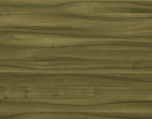 ModernWood Texture