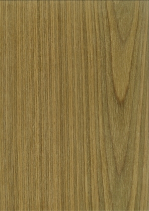 ModernWood Texture