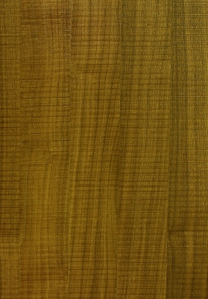 ModernWood Texture