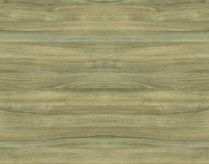 ModernWood Texture