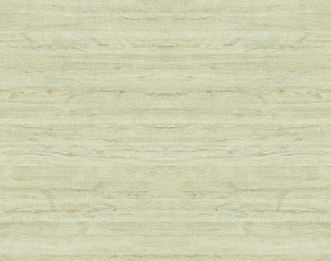 ModernWood Texture