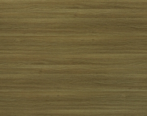 ModernWood Texture