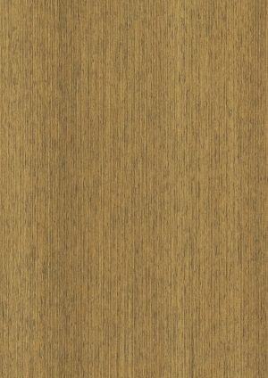 ModernWood Texture