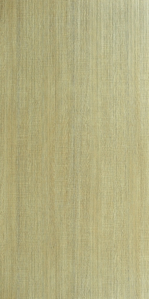 ModernWood Texture