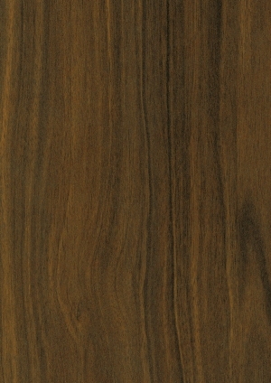 ModernWood Texture