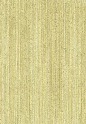 ModernWood Texture