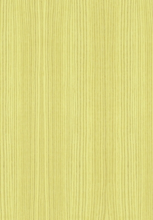 ModernWood Texture