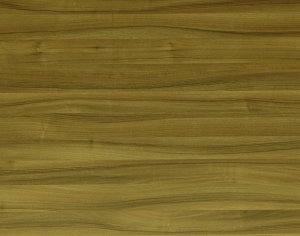 ModernWood Texture