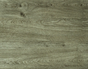 ModernWood Texture