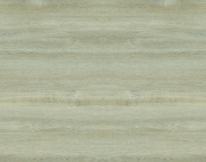 ModernWood Texture