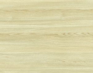 ModernWood Texture