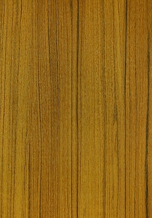 ModernWood Texture