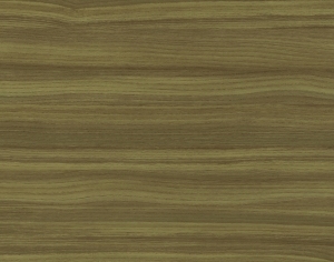 ModernWood Texture